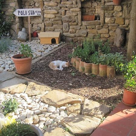 Rosandra Bed & Breakfast San Dorligo della Valle Dış mekan fotoğraf