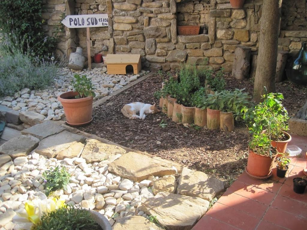 Rosandra Bed & Breakfast San Dorligo della Valle Dış mekan fotoğraf