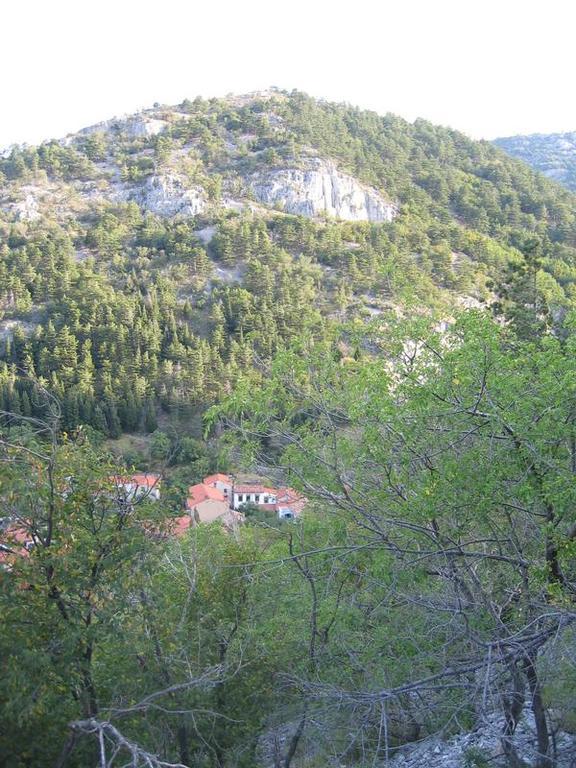 Rosandra Bed & Breakfast San Dorligo della Valle Dış mekan fotoğraf